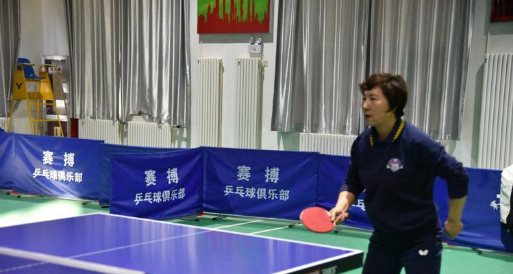 乒乓球（挑战、技术与思维的较量）