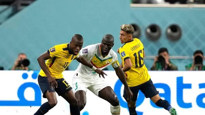 塞内加尔队世界杯历史比分揭秘（探寻塞内加尔队在世界杯赛场上的得失）