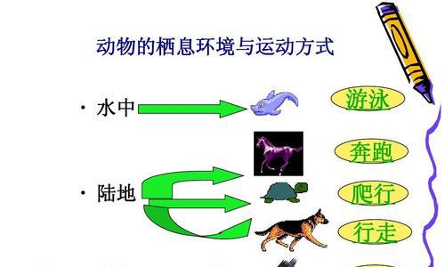 陆地学会游泳的技巧（掌握游泳的关键在于正确学习和实践）