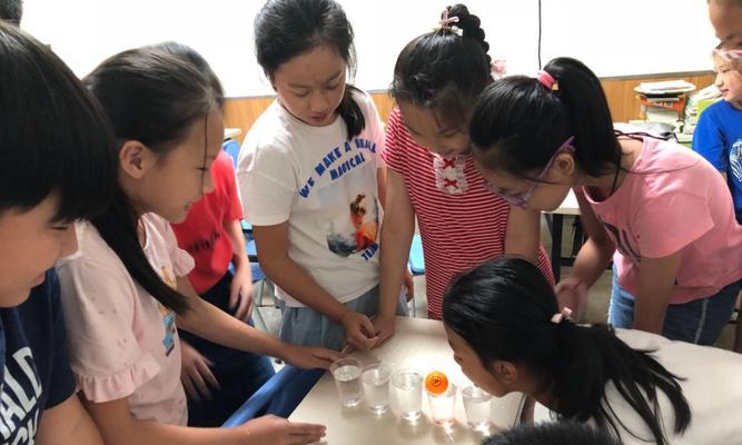 乒乓球的五种妙用（发现乒乓球的多重魅力）
