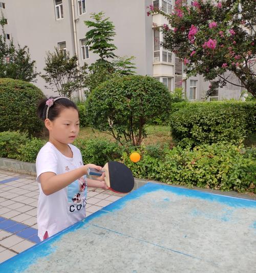 乒乓球学习的点点滴滴（通过乒乓球学习，我感受到的成长与收获）