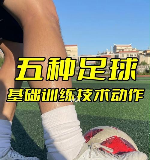 《足球残暴100个技巧——提升你的比赛竞争力》（百种技巧助你成为足坛猛将，击败对手无往不利）