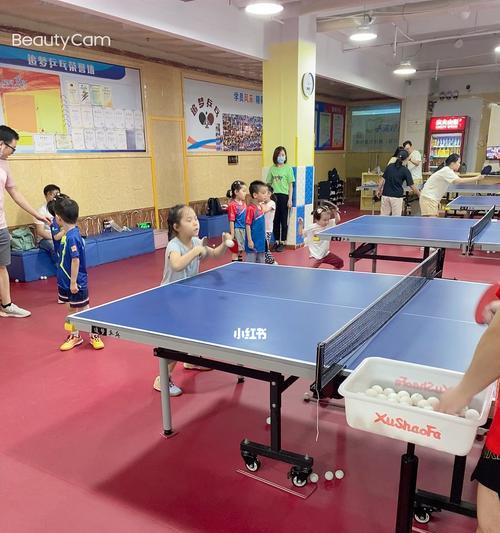 在家练习乒乓球的技巧与方法（提高乒乓球水平的有效训练策略）