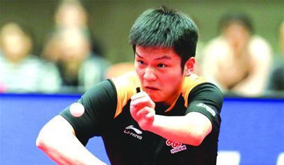 乒乓球选手（拼搏、技艺、荣耀，乒乓球选手的职业生涯）