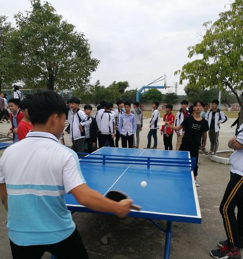 乒乓球老师学生玩法之乐趣无限（深入探索乒乓球教学新领域）