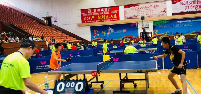 以市级乒乓球选拔标准为主题的选拔体系改革（为培养优秀乒乓球人才提供公平竞争机会）