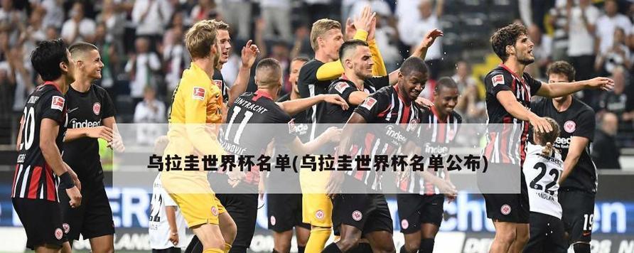 乌拉圭历史世界杯最好成绩（乌拉圭队）
