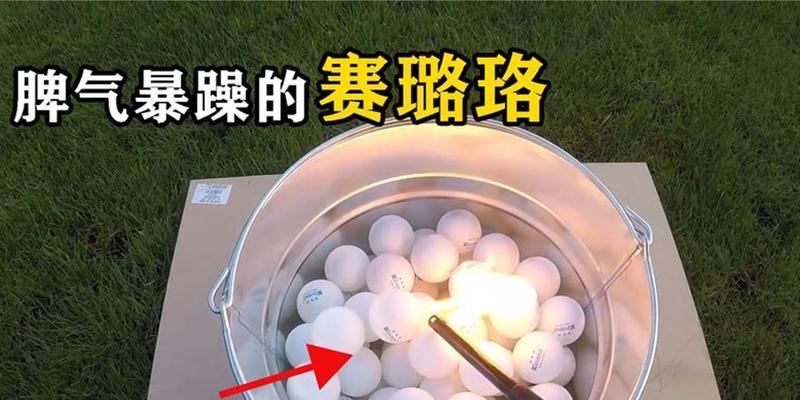 乒乓球（挑战创新，让乒乓球更有趣）