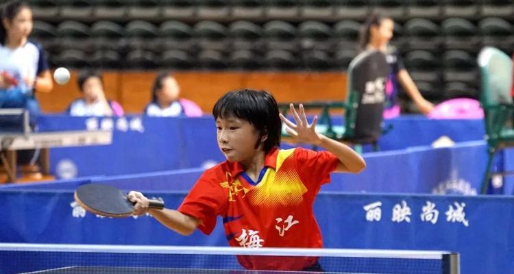 回顾2017年乒乓球乙级比赛的辉煌时刻（乒乓球乙级比赛在2017年达到新的高度）