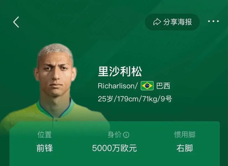 世界杯最佳进球奖（一览最佳进球奖排名，探寻背后的故事）