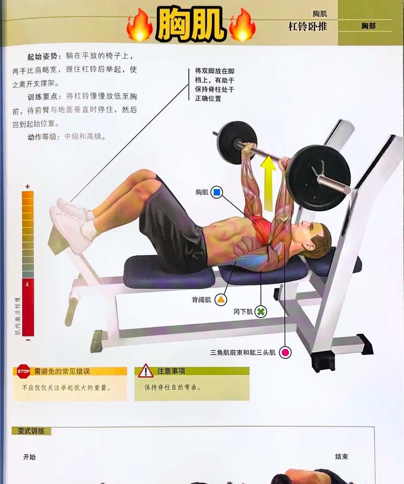 乒乓球自练心得（如何通过个人训练提高乒乓球水平）