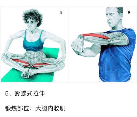 提高乒乓球搓球技巧的劲松教学指南（轻松掌握劲松搓球技术，提升乒乓球水平）