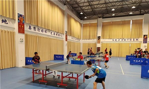 乒乓球球台青少年的热爱和成长（培养乒乓球球台青少年的关键因素及其影响）