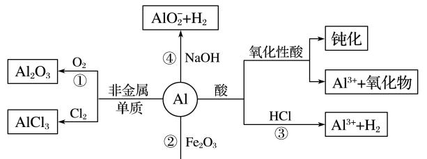 乒乓球和铁球的对比研究（探索乒乓球和铁球在反应速度和物理特性上的差异）