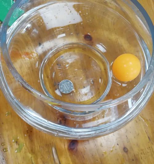 乒乓球沉浮实验（以实验结果为基础，揭示物体浮沉规律）
