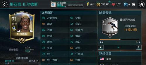 fifa足球世界扎尔德斯,扎尔德斯——速度与力量的完美结合
