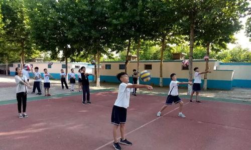 排球对垫技巧,精准配合与动作要领解析”