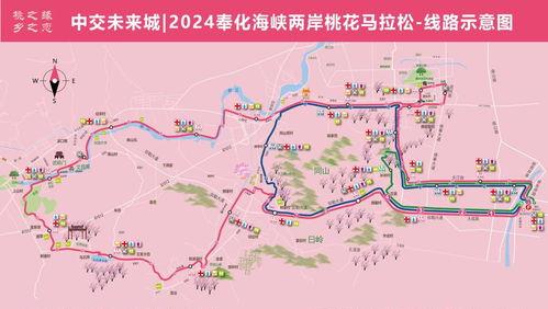 宁波马拉松路线,穿越历史与现代，感受城市脉搏的42.195公里征途”