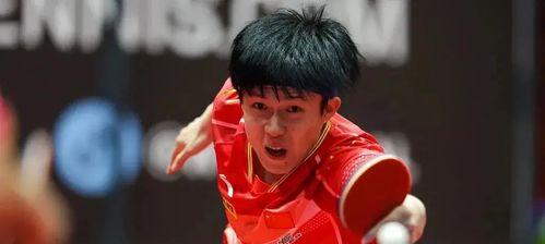 中国乒乓球男单排名,樊振东领跑，新生代崛起