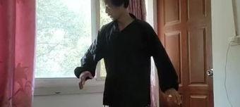 南拳的腿法有哪些,传统武术中的灵动步伐解析